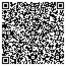 QR code with Pro Technologies contacts