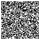 QR code with Stealthvid Inc contacts