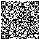 QR code with Steinoff Consulting contacts