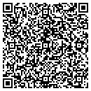 QR code with Premium Protection contacts