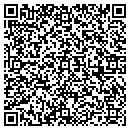 QR code with Carlin Automation Inc contacts