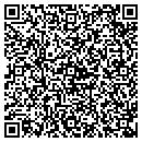 QR code with Process Dynamics contacts