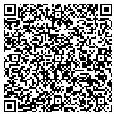 QR code with Process Dynamics Inc contacts