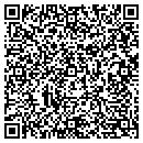 QR code with Purge Solutions contacts
