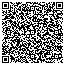 QR code with Protection Systems contacts