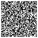 QR code with Pyrotex System contacts