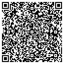 QR code with Pulse Products contacts