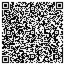 QR code with Pts Power Llp contacts