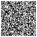 QR code with Premier contacts