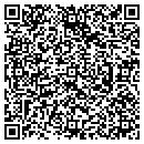 QR code with Premier Metal Finishing contacts