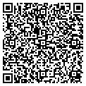 QR code with Valet contacts