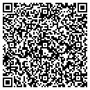 QR code with Precision Polishing contacts
