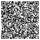 QR code with Precision Polishing contacts