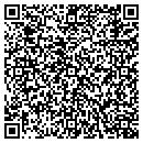 QR code with Chapin Self Storage contacts