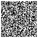 QR code with Crystal Art Usa LLC contacts