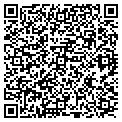 QR code with Nlws Inc contacts