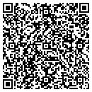 QR code with Premier Metal Works contacts