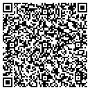 QR code with Promote in Style contacts