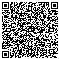 QR code with P Flag contacts