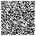 QR code with P V contacts