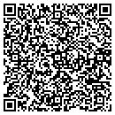 QR code with Professional Solar contacts