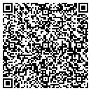 QR code with Primarily Patterns contacts