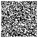 QR code with Pursenickety Patterns contacts