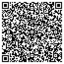 QR code with Punches Properties contacts