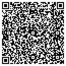 QR code with Pyramid Mouldings contacts