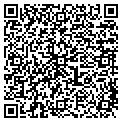 QR code with Amsc contacts