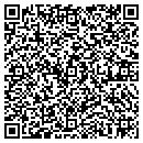 QR code with Badger Cryogencis Inc contacts