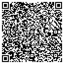QR code with Casting Technologies contacts