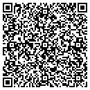 QR code with Professional Plastic contacts