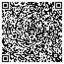 QR code with Public Storage contacts