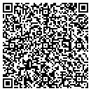 QR code with Dsi Spaceframes Inc contacts