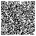 QR code with Dolphin Insulation contacts