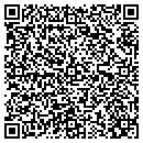 QR code with Pvs Minibulk Inc contacts