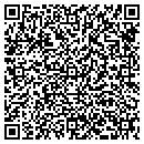 QR code with Pushcoin Inc contacts