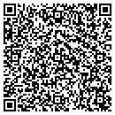 QR code with Pulse Eft Assn contacts