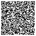QR code with Dollar contacts