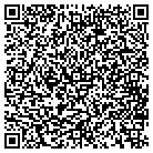 QR code with Techsico Leasing LLC contacts