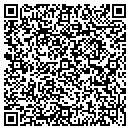 QR code with Pse Credit Union contacts
