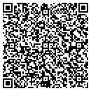 QR code with Ds Export/Import Inc contacts