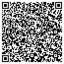 QR code with Primary Elements contacts