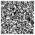 QR code with Bdfs Investment Banking contacts