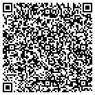 QR code with Blue Capital Group contacts