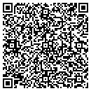 QR code with Processing 101 LLC contacts
