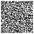 QR code with Cappelli Land Co Inc contacts