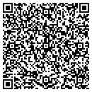 QR code with Pulse 101 contacts