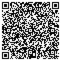 QR code with Link Disc Corp contacts